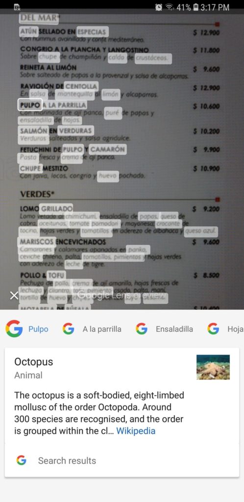 Google lens text translate