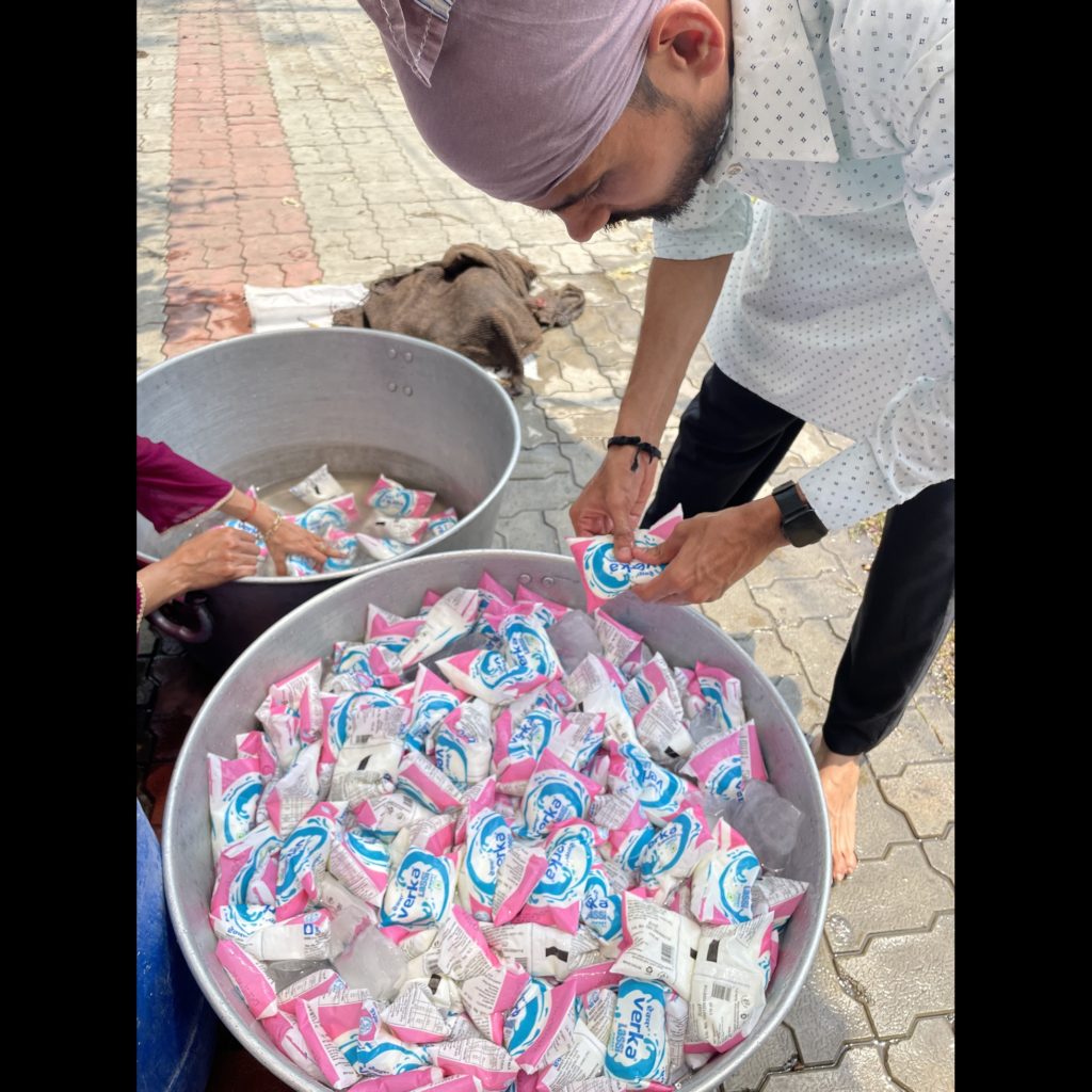  photographs of the activities june 17